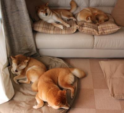 VR技术融入青训,虚拟实战场景助成长,带你玩转vr虚拟现实课程介绍