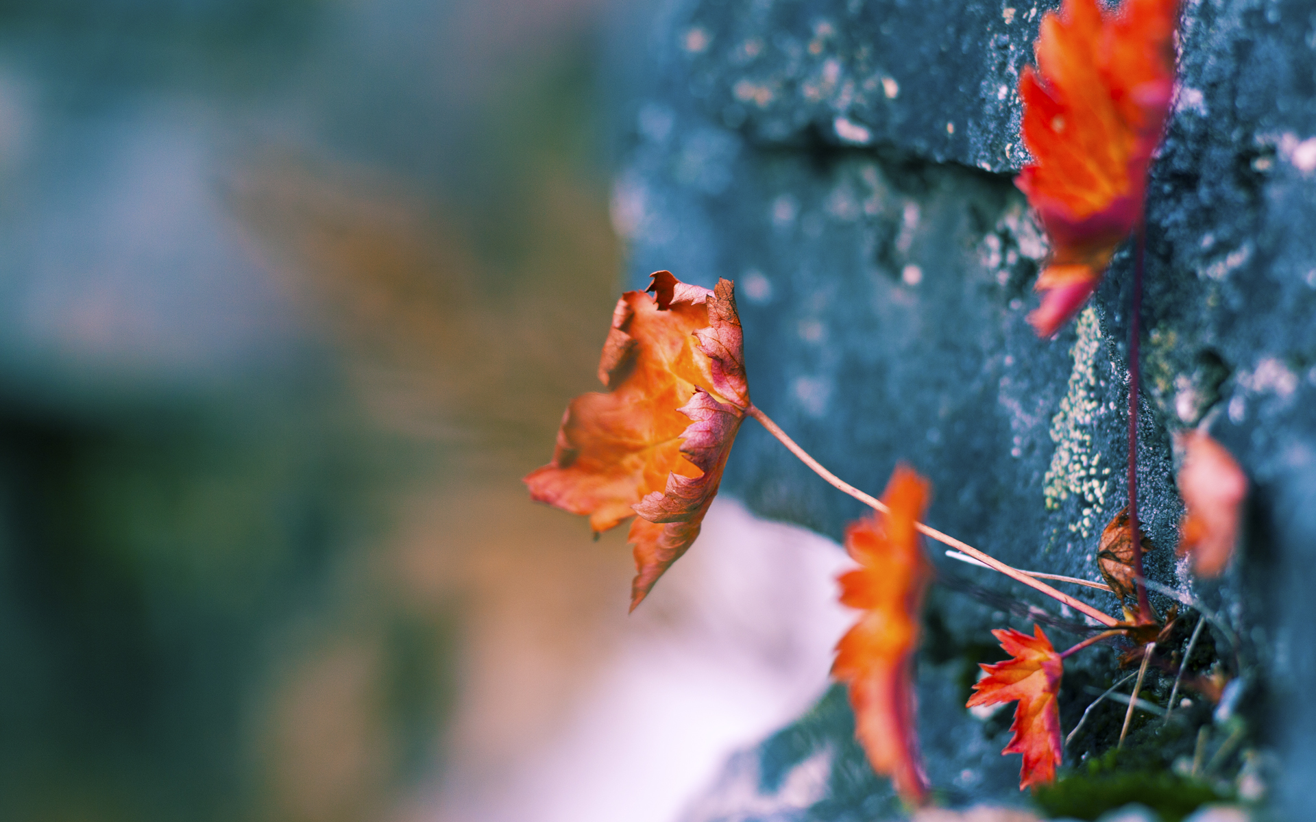 VR电竞新玩法引领未来，沉浸式体验震撼来袭，电竞主机vr游戏平台