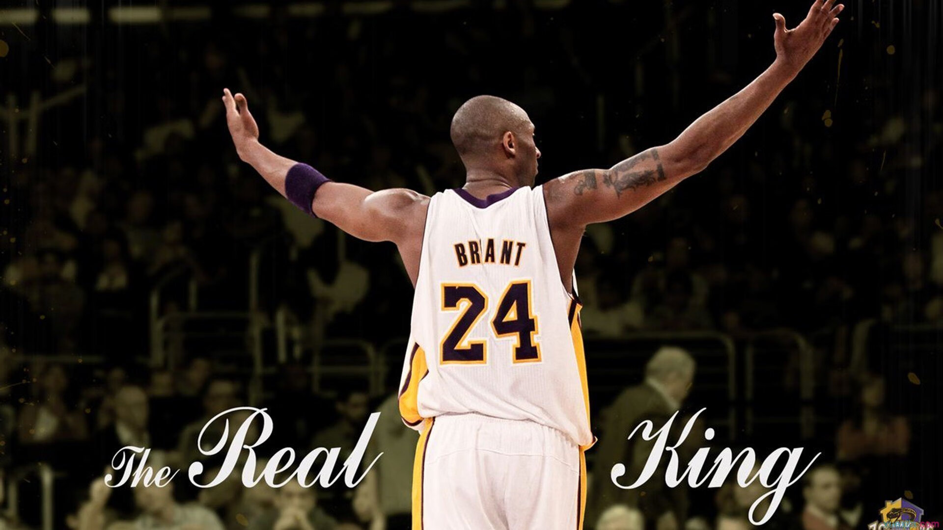 唐纳德·高尔凭借强悍突破成为袋鼠队进攻终结者，唐纳德高斯简介